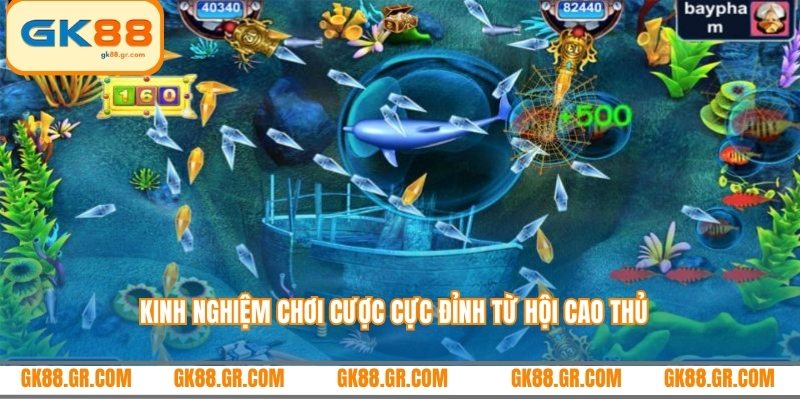 Kinh nghiệm chơi cược cực đỉnh từ hội cao thủ