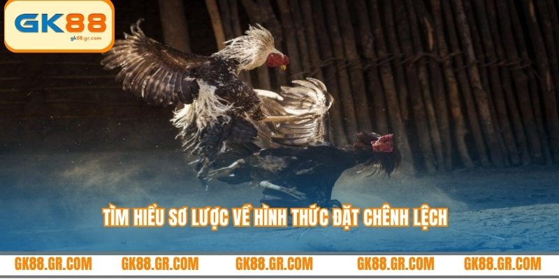 Tìm hiểu sơ lược về hình thức đặt chênh lệch